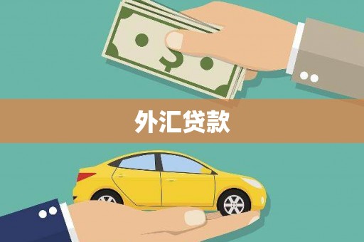 黔西外汇贷款