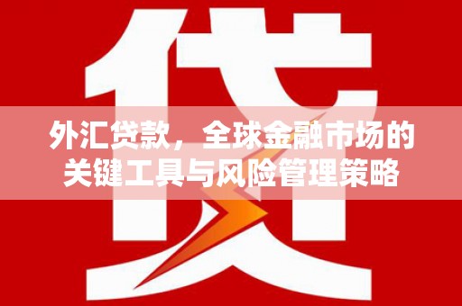 黔西外汇贷款，全球金融市场的关键工具与风险管理策略