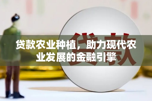 黔西贷款农业种植，助力现代农业发展的金融引擎
