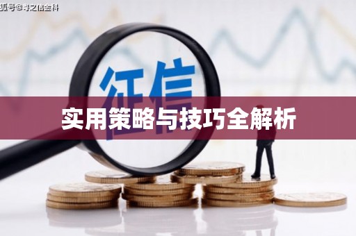 黔西实用策略与技巧全解析