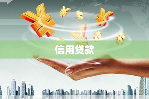 黔西信用贷款