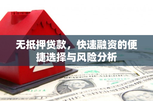 黔西无抵押贷款，快速融资的便捷选择与风险分析