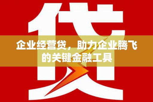 黔西企业经营贷，助力企业腾飞的关键金融工具