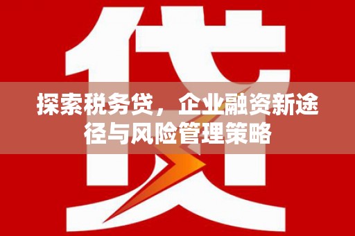 黔西探索税务贷，企业融资新途径与风险管理策略