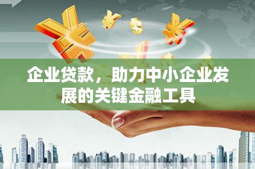 黔西企业贷款，助力中小企业发展的关键金融工具