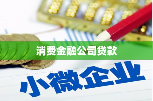 黔西消费金融公司贷款