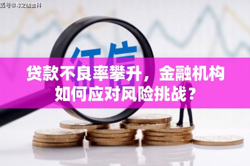 黔西贷款不良率攀升，金融机构如何应对风险挑战？