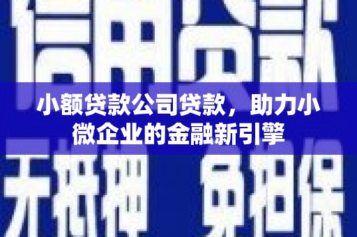 黔西小额贷款公司贷款，助力小微企业的金融新引擎