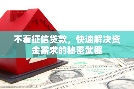 黔西不看征信贷款，快速解决资金需求的秘密武器