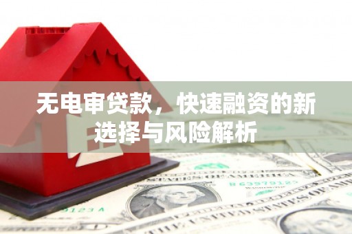 黔西无电审贷款，快速融资的新选择与风险解析