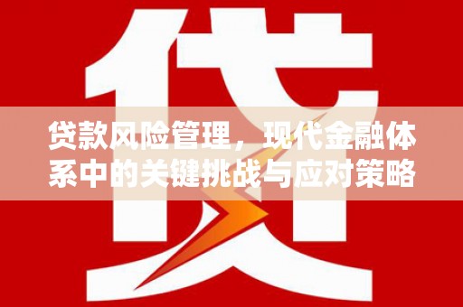 黔西贷款风险管理，现代金融体系中的关键挑战与应对策略