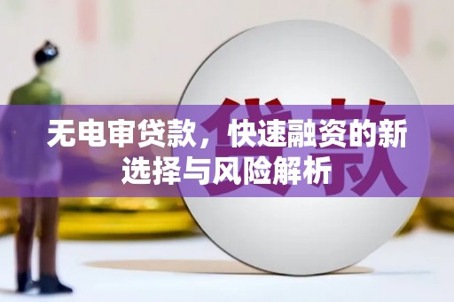黔西无电审贷款，快速融资的新选择与风险解析