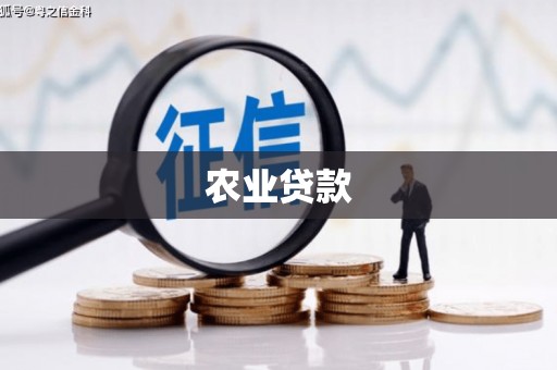 黔西农业贷款