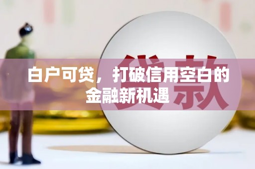 黔西白户可贷，打破信用空白的金融新机遇