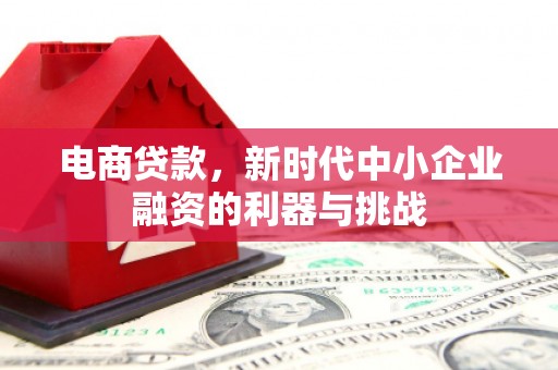 黔西电商贷款，新时代中小企业融资的利器与挑战