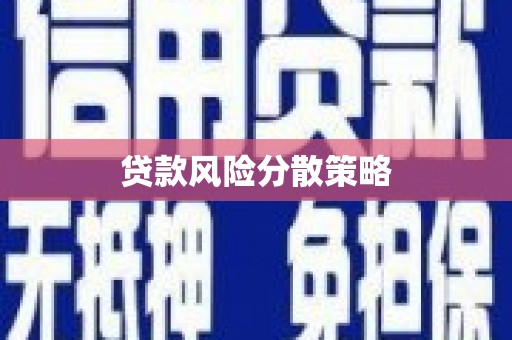 黔西贷款风险分散策略