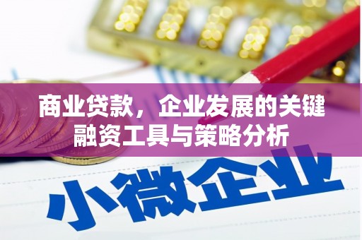 黔西商业贷款，企业发展的关键融资工具与策略分析