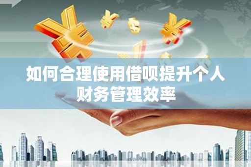 黔西如何合理使用借呗提升个人财务管理效率