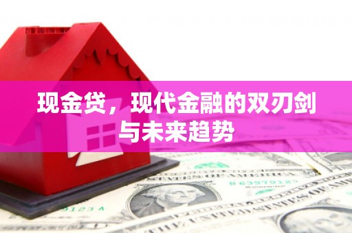 黔西现金贷，现代金融的双刃剑与未来趋势