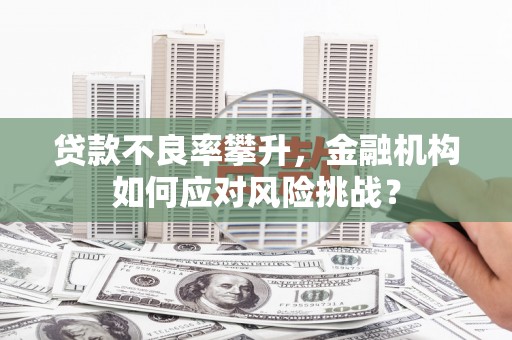 黔西贷款不良率攀升，金融机构如何应对风险挑战？
