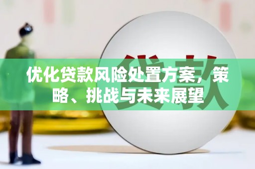 黔西优化贷款风险处置方案，策略、挑战与未来展望