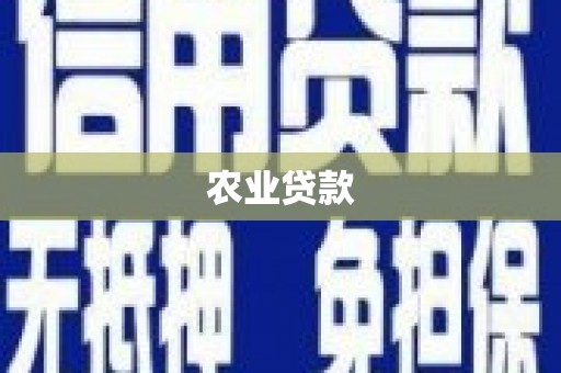 黔西农业贷款