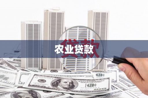 黔西农业贷款