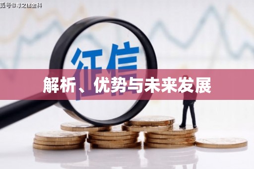 黔西解析、优势与未来发展