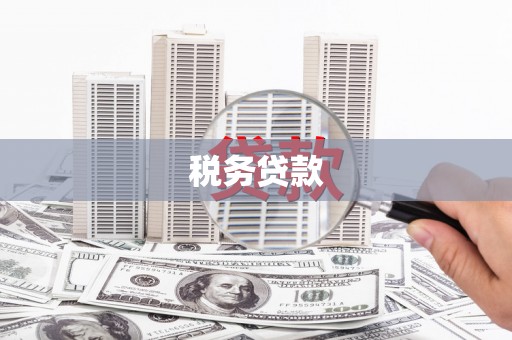 黔西税务贷款