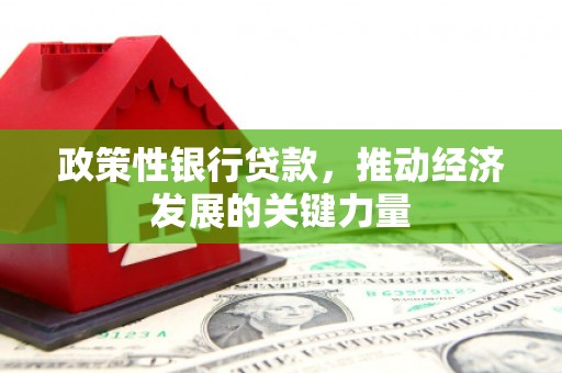 黔西政策性银行贷款，推动经济发展的关键力量