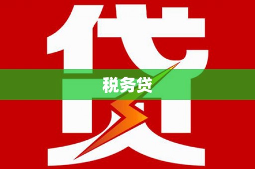 黔西税务贷