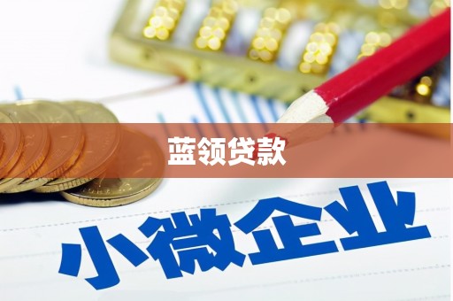 黔西蓝领贷款
