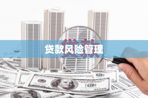 黔西贷款风险管理