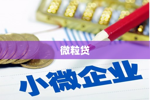 黔西微粒贷