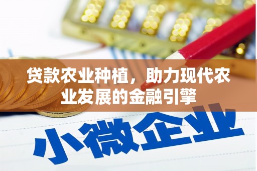 黔西贷款农业种植，助力现代农业发展的金融引擎