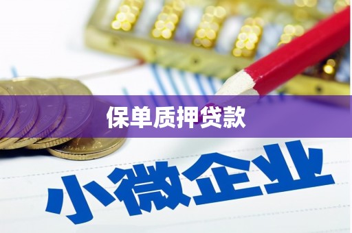 黔西保单质押贷款