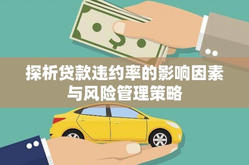黔西探析贷款违约率的影响因素与风险管理策略
