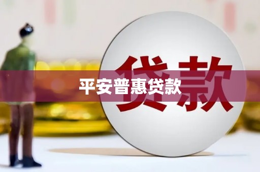 黔西平安普惠贷款