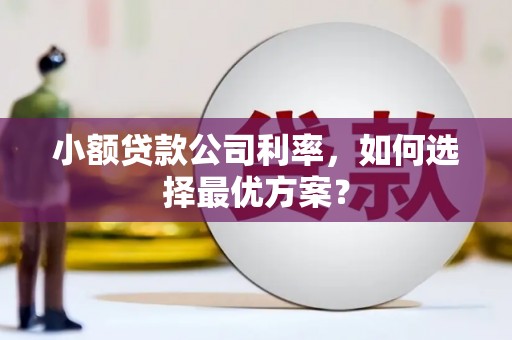 黔西小额贷款公司利率，如何选择最优方案？