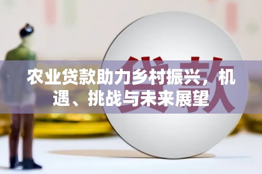 黔西农业贷款助力乡村振兴，机遇、挑战与未来展望