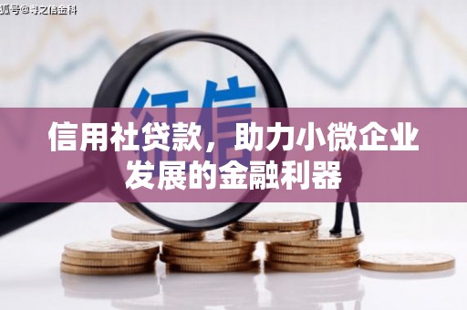 黔西信用社贷款，助力小微企业发展的金融利器