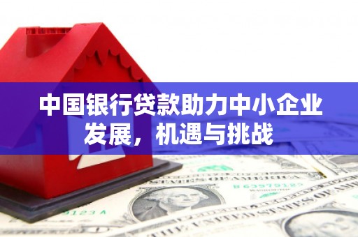 黔西中国银行贷款助力中小企业发展，机遇与挑战