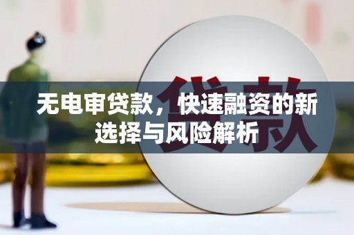黔西无电审贷款，快速融资的新选择与风险解析