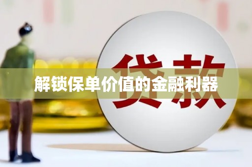 黔西解锁保单价值的金融利器