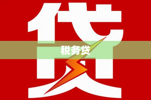 黔西税务贷