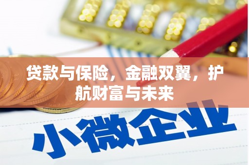黔西贷款与保险，金融双翼，护航财富与未来