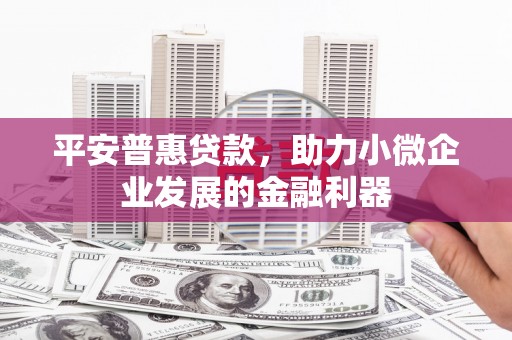 黔西平安普惠贷款，助力小微企业发展的金融利器