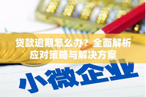 黔西贷款逾期怎么办？全面解析应对策略与解决方案