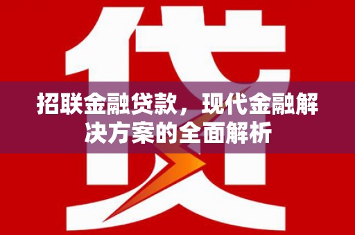 黔西招联金融贷款，现代金融解决方案的全面解析
