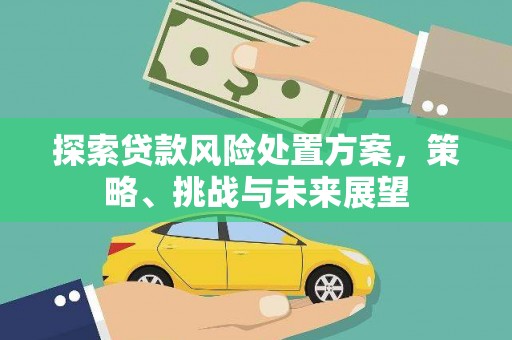 黔西探索贷款风险处置方案，策略、挑战与未来展望